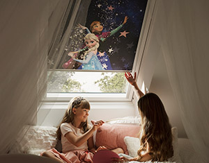 velux-sonnenschutz-rollladen-insektenschutz-disney-goodnightcollection