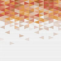 Inspired by graphic ARCTIC (6625)