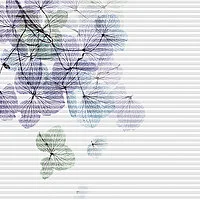 Created by nature FLEUR (6228)