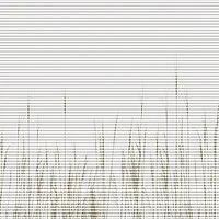 the spirit of modern living SEAGRASS (6841)